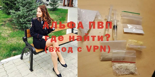 гашик Володарск