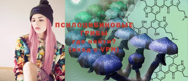 гашик Володарск