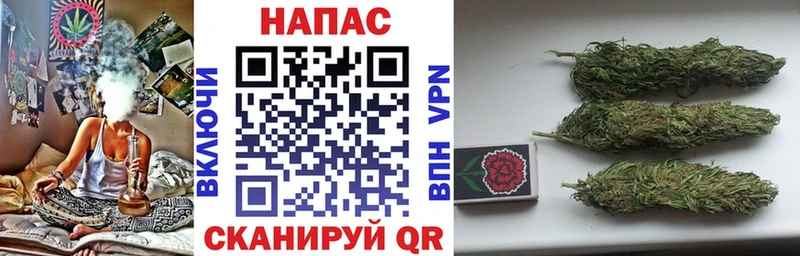купить  сайты  Нальчик  Шишки марихуана AK-47 